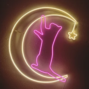 Moon Cat - LED Neon Sign