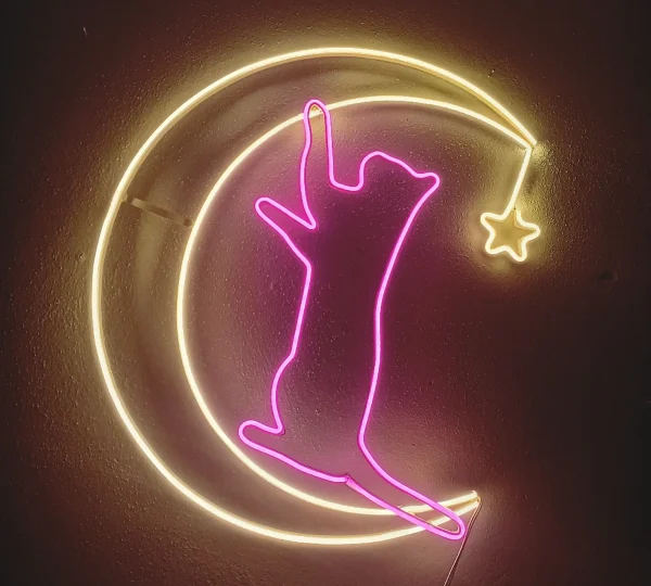 Moon Cat - LED Neon Sign