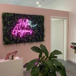 Hello Gorgeous – LED Neon Sign