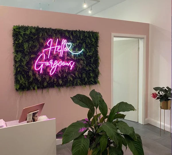 Hello Gorgeous - LED Neon Sign